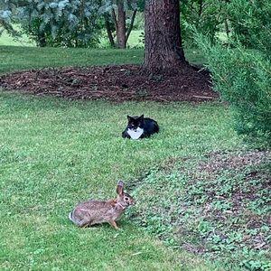 Meet your Posher, Krista